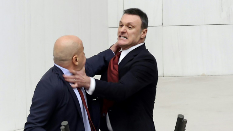 Mindestens zwei Abgeordnete bei Schl&auml;gerei im t&uuml;rkischen Parlament verletzt