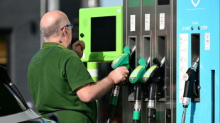 Unos 325 millones de barriles de reservas estrat&eacute;gicas liberados desde marzo