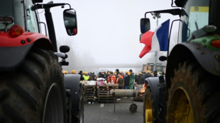Franz&ouml;sische Bauern k&uuml;ndigen "Belagerung" von Paris an