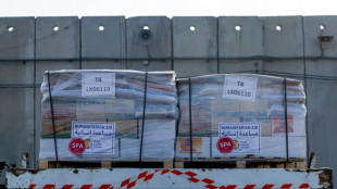 Bericht: Hilfstransporte f&uuml;r Gazastreifen passieren Grenz&uuml;bergang Kerem Schalom