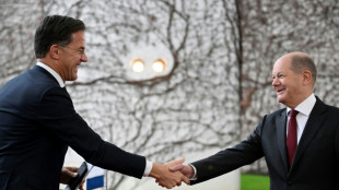 Deutschland, USA und Gro&szlig;britannien f&uuml;r Rutte als Nato-Generalsekret&auml;r
