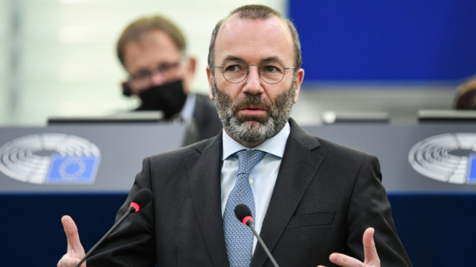 Weber: Europawahl kann wegen Migration Schicksalswahl f&uuml;r Kontinent werden