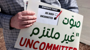 Protest gegen Nahost-Kurs: Denkzettel f&uuml;r Biden bei US-Vorwahl in Michigan