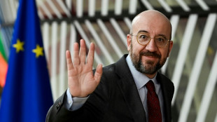 Ratspr&auml;sident Michel will f&uuml;r EU-Parlament kandidieren und vorzeitig zur&uuml;cktreten