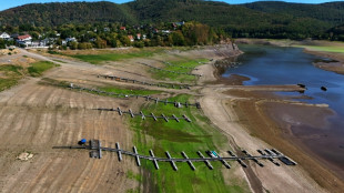 RKI: Zahl der Hitzetoten in Deutschland nochmals gestiegen