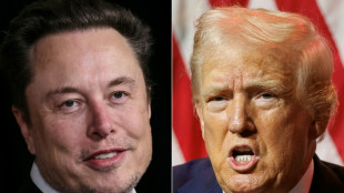 Musk: Interview mit Trump offenbar durch "massiven" Cyberangriff gest&ouml;rt