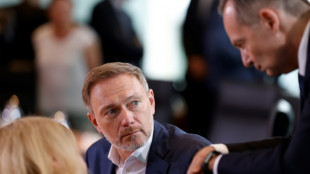 FDP sieht sich durch EU-Wahl in "Ampel" gest&auml;rkt - und warnt vor h&ouml;heren Ausgaben