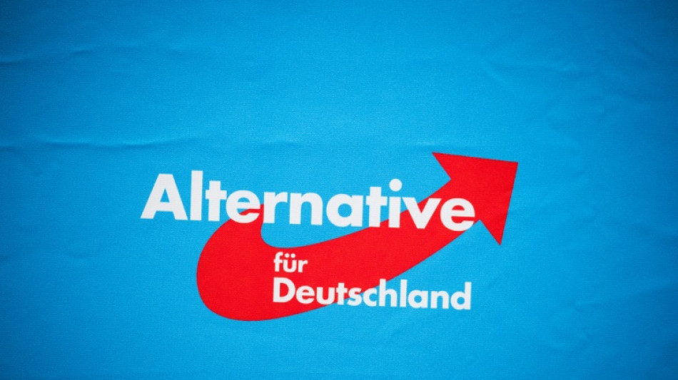 "Sonntagstrend": AfD verliert leicht in der W&auml;hlergunst