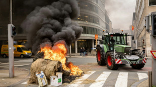 Ukraine: Z&auml;he Verhandlungen &uuml;ber Beschr&auml;nkungen f&uuml;r zollfreie Agrarimporte