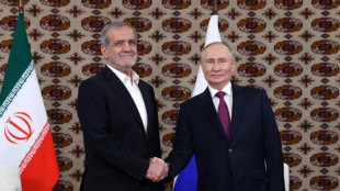 Putin und iranischer Pr&auml;sident Peseschkian heben "&auml;hnliche" Positionen hervor