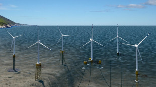 'Rivedere le sanzioni per il report sulla sostenibilit&agrave;'