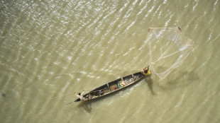 Accord sur la p&ecirc;che: l'OMC promet des millions aux pays en d&eacute;veloppement