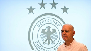 Germany to bid to host women's Euro 2029