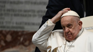 Papst ruft Kiew zum Hissen der "wei&szlig;en Fahne" auf - T&uuml;rkei will Vermittler sein