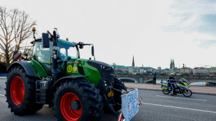 Massive Bauernproteste in Hamburg: Verkehr am gr&ouml;&szlig;ten deutschen Hafen gest&ouml;rt