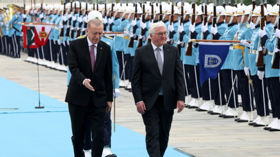 "Wir brauchen einander": Steinmeier und Erdogan pl&auml;dieren f&uuml;r Ann&auml;herung