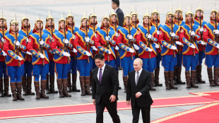 Cpi deferisce la Mongolia all'Assemblea, non arrest&ograve; Putin