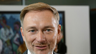 "Bild": Lindner will Arbeitnehmer bei kalter Progression st&auml;rker entlasten