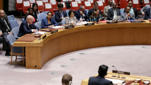USA, EU und arabische Staaten rufen zu "vor&uuml;bergehender Waffenruhe" im Libanon auf