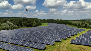 Stiftung Klimaneutralität dringt auf stärker soziale Ausrichtung der Klimapolitik