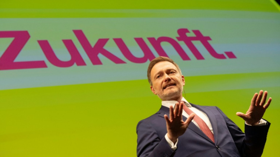 FDP fordert tiefe Sozial-Einschnitte und Ende der Subventionen f&uuml;r Erneuerbare