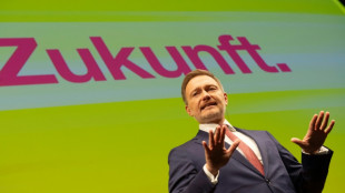 FDP fordert tiefe Sozial-Einschnitte und Ende der Subventionen f&uuml;r Erneuerbare