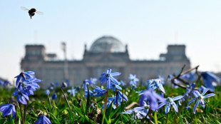 Bundestag ber&auml;t &uuml;ber Gesetz zu Schutz von Betriebsr&auml;ten