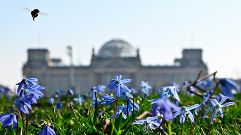 Bundestag beschlie&szlig;t erleichterte Anerkennung beruflicher Qualifikationen