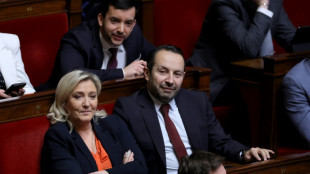 Assembl&eacute;e : le RN retire tour &agrave; tour ses textes, dans un h&eacute;micycle tendu