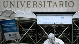 Gemelli, o hospital dos pont&iacute;fices
