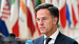 Orban: Ungarn unterst&uuml;tzt Rutte als Nato-Generalsekret&auml;r