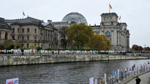 Union will in Einzelf&auml;llen f&uuml;r Koalitions-Gesetze im Bundestag stimmen