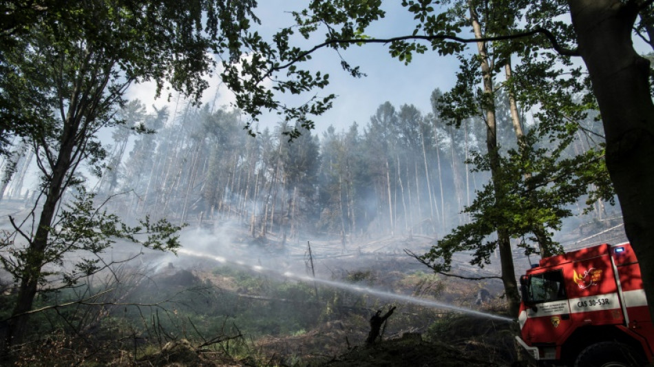 Feuerwehr k&auml;mpft weiter gegen Waldbr&auml;nde in Ostdeutschland