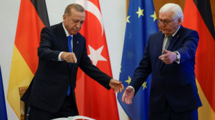Steinmeier empf&auml;ngt Erdogan zu umstrittenem Besuch in Berlin