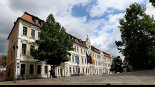 Nach Geheimtreffen: AfD-Politiker als Ausschuss-Chef im Magdeburger Landtag abgew&auml;hlt