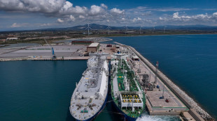 Ministro Energia, ammorbidire standard ambientali