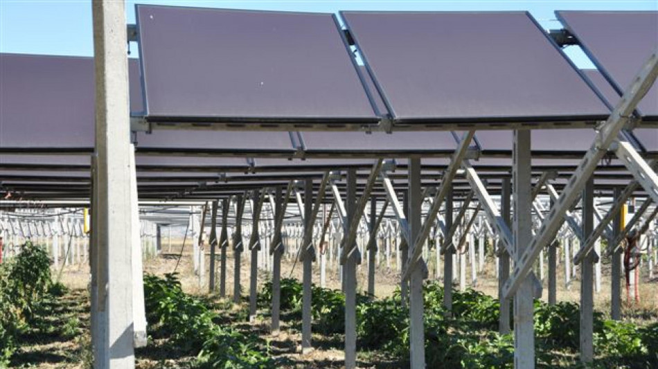 Scognamiglio (Aias), Italia faro in Europa per agrivoltaico