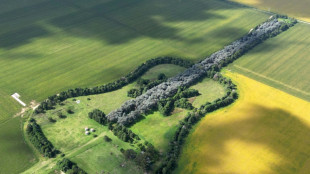 Argentine: une guitare g&eacute;ante plant&eacute;e par amour meurtri