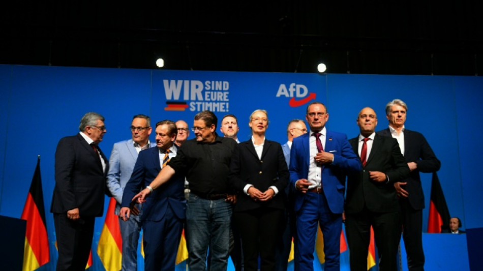 Weidel unzufrieden mit M&auml;nnerdominanz in AfD-Vorstand