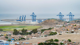 Chinas Megahafen in S&uuml;damerika "praktisch fertig" - Pr&auml;sident Xi in Peru erwartet