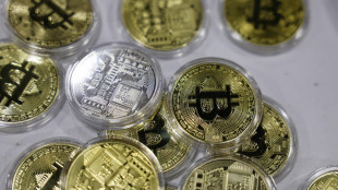 Criptovalute in rialzo, Bitcoin a 101.537 dollari