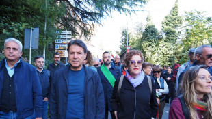 Conte, la bandiera blu dell'Europa si è tinta di verde militare