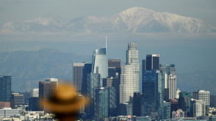 Los &Aacute;ngeles acuerda pagar USD 4.000 millones por abusos sexuales en hogares infantiles