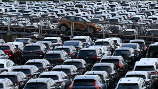 Klimaklagen gegen Autobauer: BGH verhandelt &uuml;ber Forderung nach Verbrenner-Aus 2030