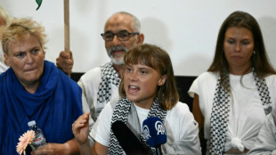 Flottille pour Gaza: des militants expulsés d'Israël dénoncent de mauvais traitements