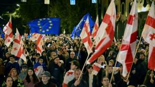 Zehntausende Menschen bei pro-europ&auml;ischer Demonstration in Georgien