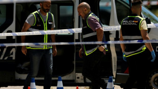La pista del crimen organizado, favorecida en el asesinato del exdiputado ucraniano en Espa&ntilde;a
