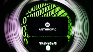 Anthropic recauda 65.000 millones de d&oacute;lares y alcanza una valorizaci&oacute;n de 965.000 millones