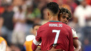 De la Fuente y la teor&iacute;a del im&aacute;n: Espa&ntilde;a se agiganta en el Mundial