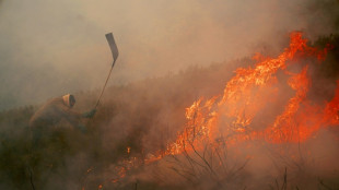 Evolution "lente" mais "favorable" sur le front des incendies en Espagne, selon les secours